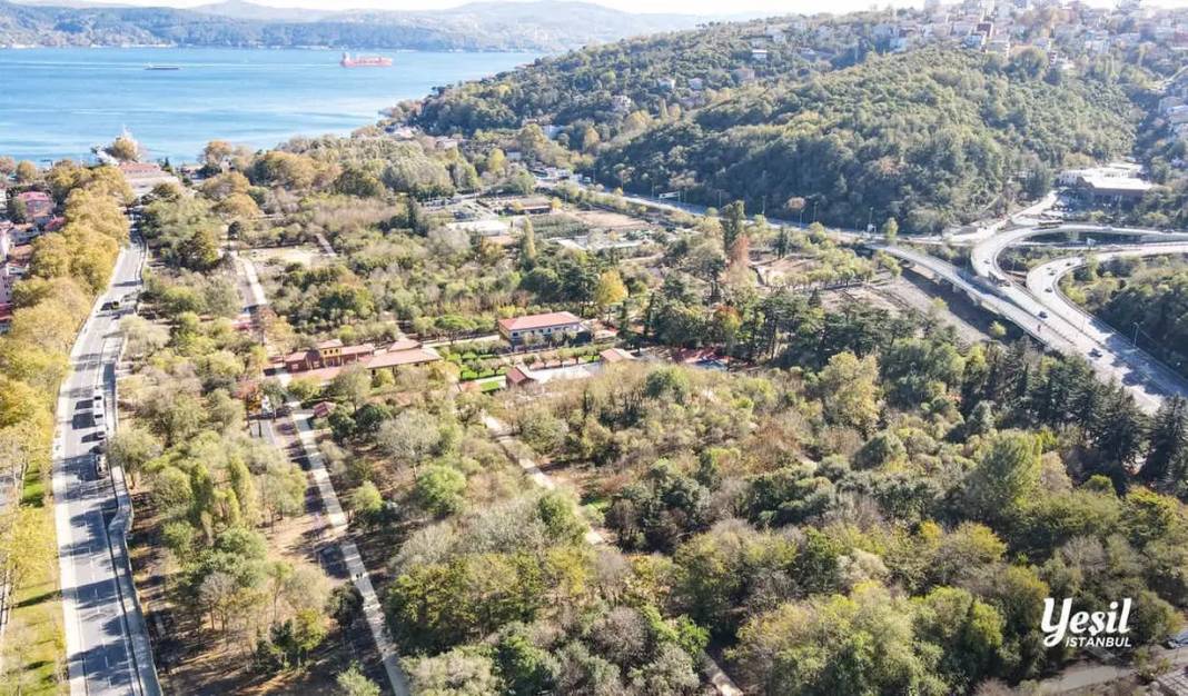 Antalya Dünyanın En İyileri Arasında! 8